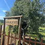 Casa Al Vento Lucignano